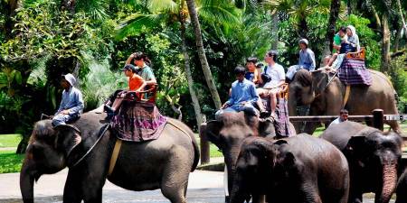 Double Experience By Combining The Adventure Tour With Sightseeing Tour In One Day TripTour Category