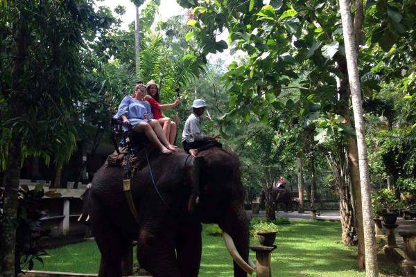 Bali Elephant Ride Camp Tour