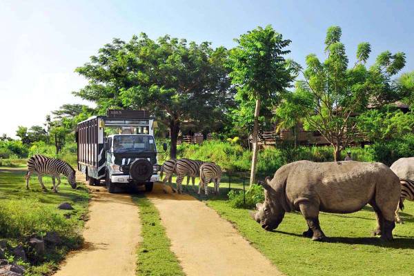 Rhino Package