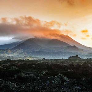 5 Days 4 Nights Tour Package