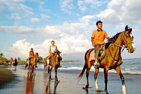 Bali Horse Riding Packages