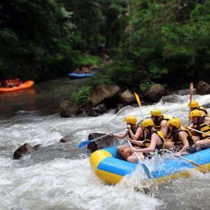 Ayung Rafting And Tanah Lot Tour