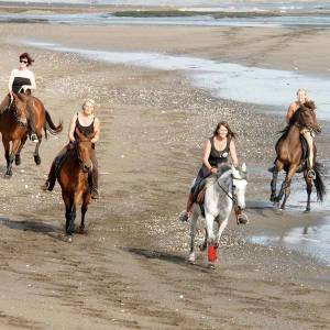 Bali Horse Riding