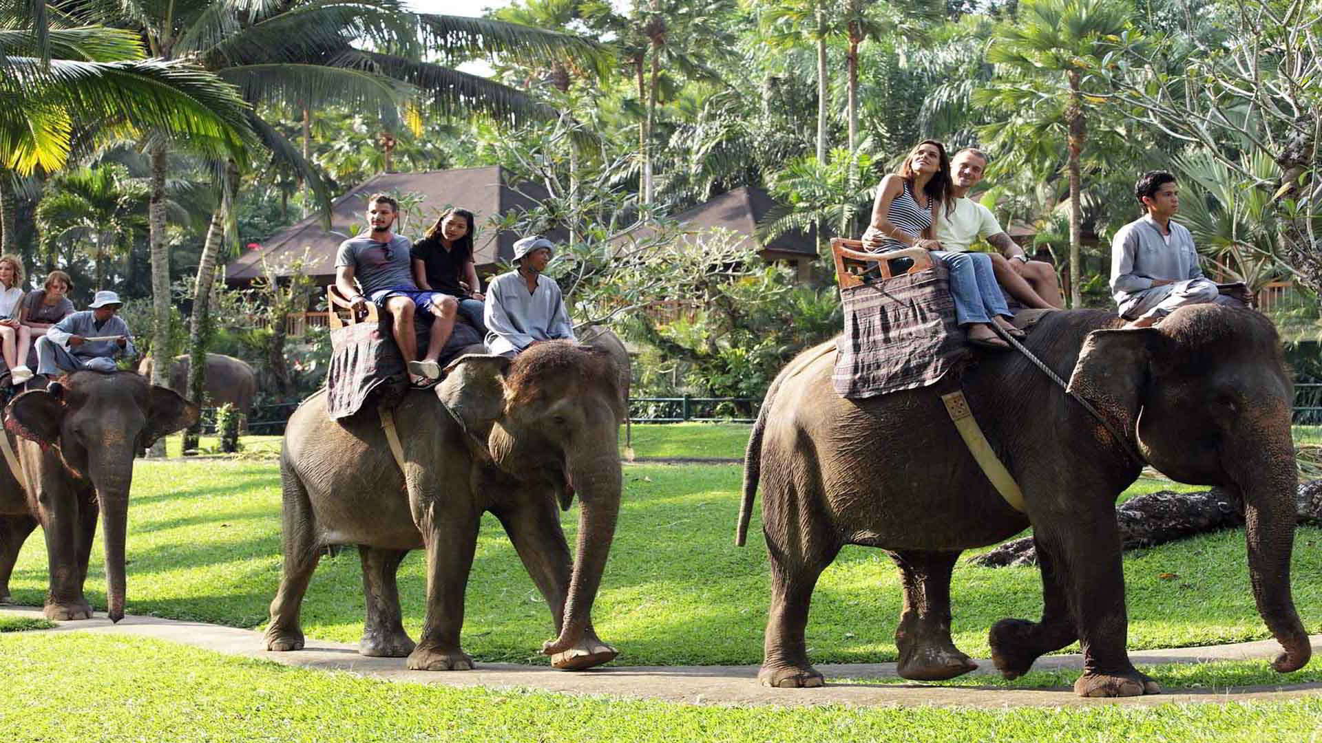Elephant Ride And Kintamani Tour