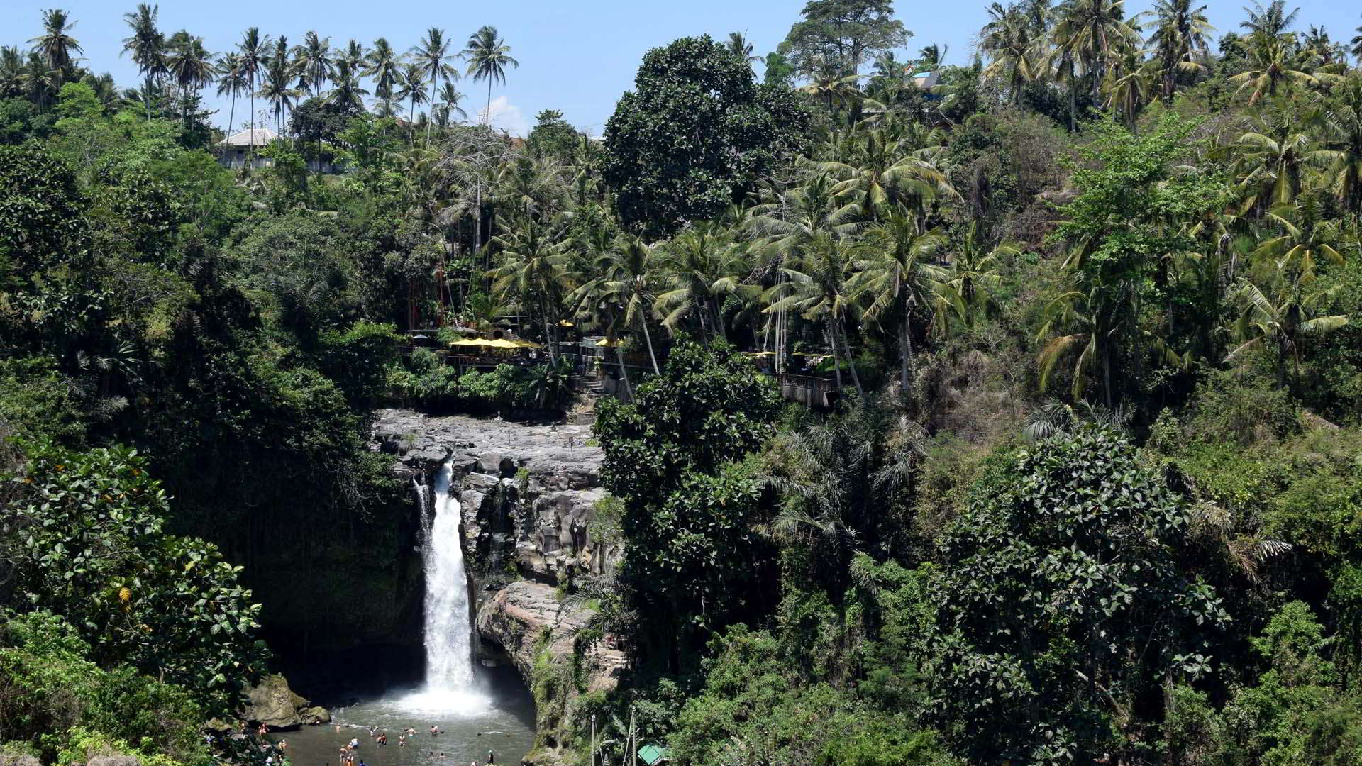 Half Day Ubud Waterfall Tour